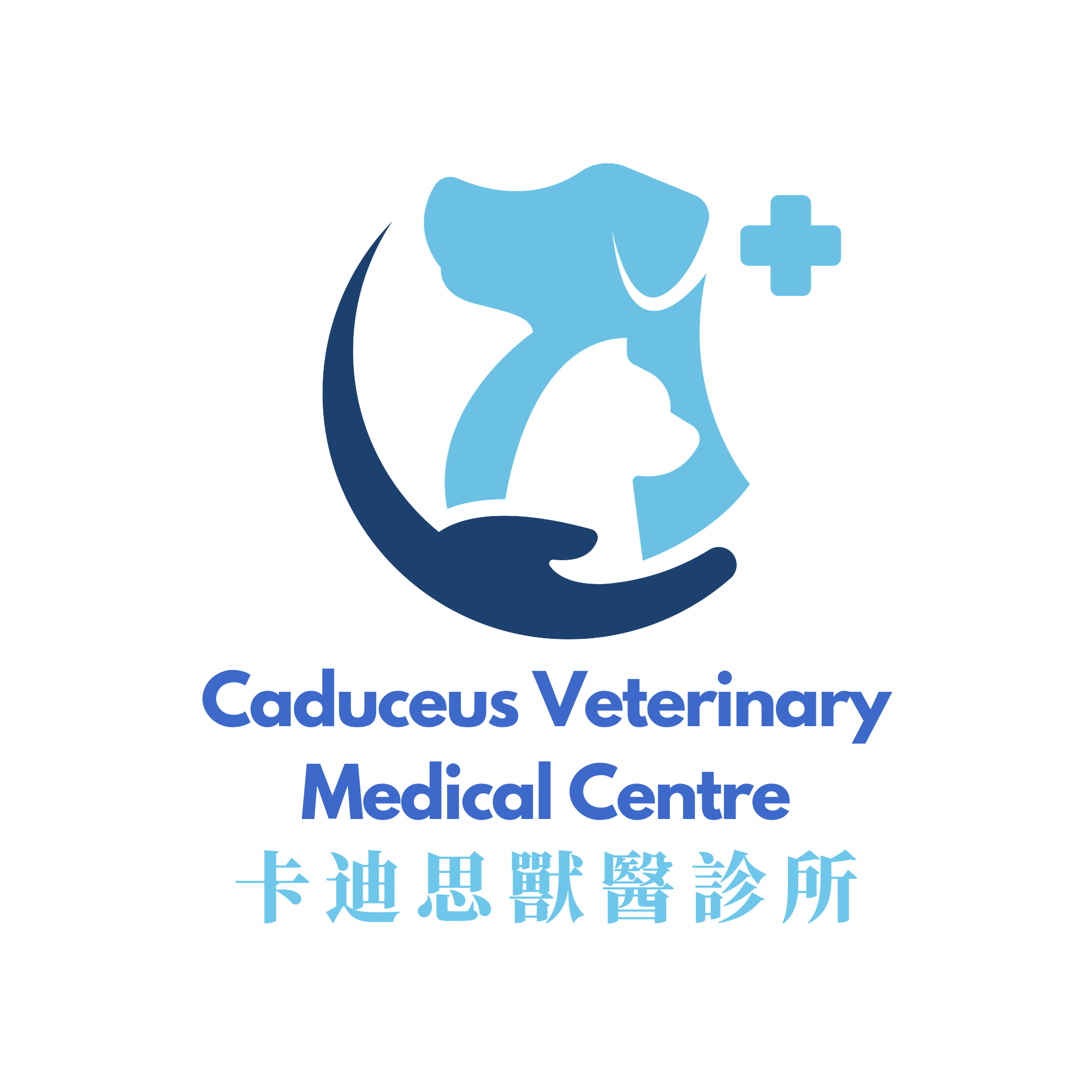 Caduceus Logo